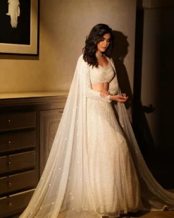 Aaima Lehenga Set