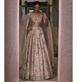 Aari And Dabka Jaal Lehenga Set