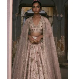 Aari And Dabka Jaal Lehenga Set