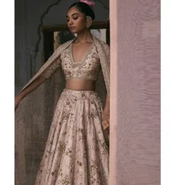 Aari And Dabka Jaal Lehenga Set