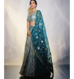 Aasmani Lampi Lehenga Set