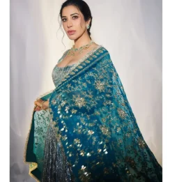 Aasmani Lampi Lehenga Set