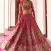 Aeindri Lehenga Set