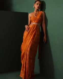 Ahana Pre-Draped Sari Set