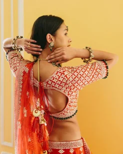 Ahila Lehenga 2.0