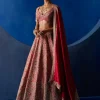 Ahvi Lehenga Set