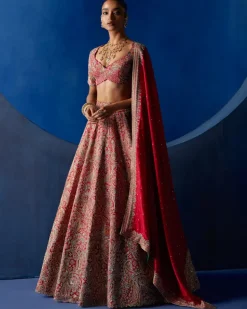 Ahvi Lehenga Set