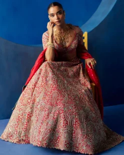 Ahvi Lehenga Set