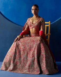 Ahvi Lehenga Set