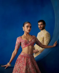 Ahvi Lehenga Set