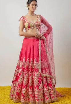 Alaya Lehenga Set