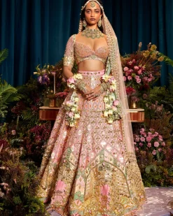 Alice - Baby Pink Royal Carriage Lehenga Set