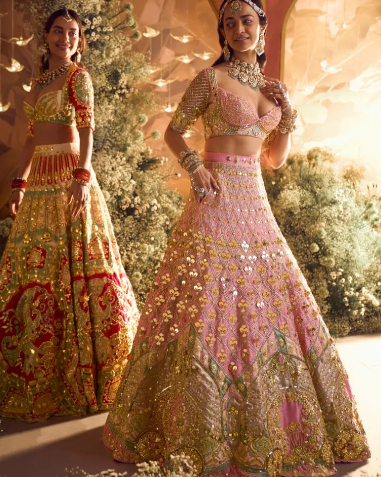 Alice - Baby Pink Royal Carriage Lehenga Set