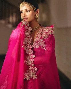 Allika Lehenga Set