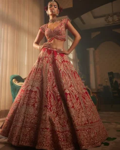 Alluring Lehenga Set