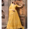Amra Chikankari Lehenga Set
