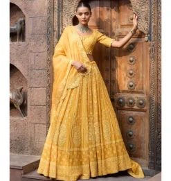 Amra Chikankari Lehenga Set