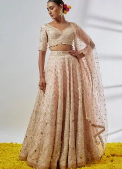 Anaya Lehenga Set