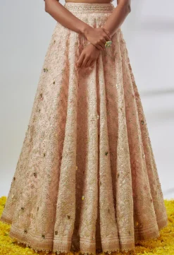 Anaya Lehenga Set