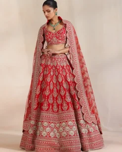 Anise Red Embroidered Lehenga Set