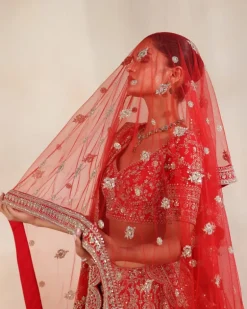 Anise Red Embroidered Lehenga Set