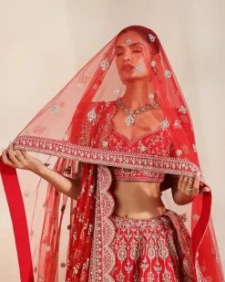 Anise Red Embroidered Lehenga Set