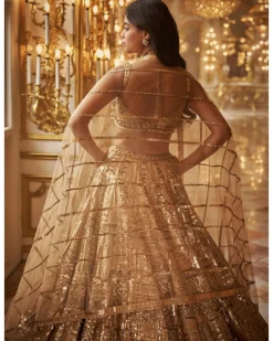 Antique Gold Embellished Lehenga Set
