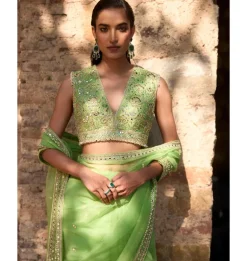 Apple Green Organza Sari Set