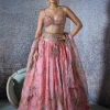 Arya Lehenga Set