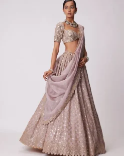 Ash Pink Mirror Flower Embroidered Lehenga Set