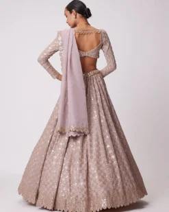 Ash Pink Mirror Flower Embroidered Lehenga Set