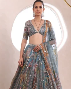 Ashi Lehenga Set