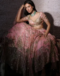 Astha Lehenga Set