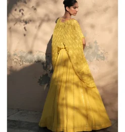 Aurelian Cape Lehenga Set