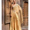 Auric Orchard Drape Sari Set