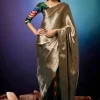 Aurorays Liquid Gold Tailored Sari Set