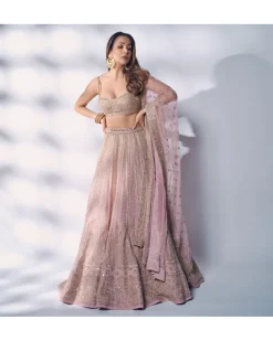 Baby Orchid Thread Embroidered Lehenga Set