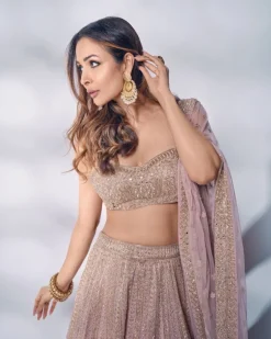 Baby Orchid Thread Embroidered Lehenga Set