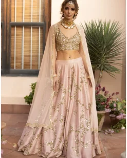 Baby Pink With Gold Jaal Work Lehenga Set
