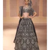 Barina Lehenga Set