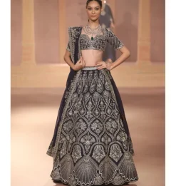 Barina Lehenga Set