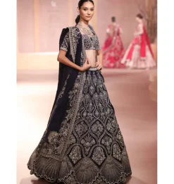 Barina Lehenga Set