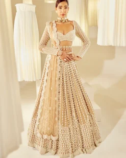 Beige Chandelier Pearl Embellished Lehenga Set