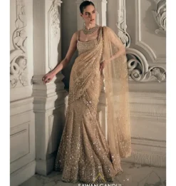 Beige Gold Fishcut Pre-Drape Sari Set