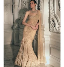 Beige Gold Fishcut Pre-Drape Sari Set