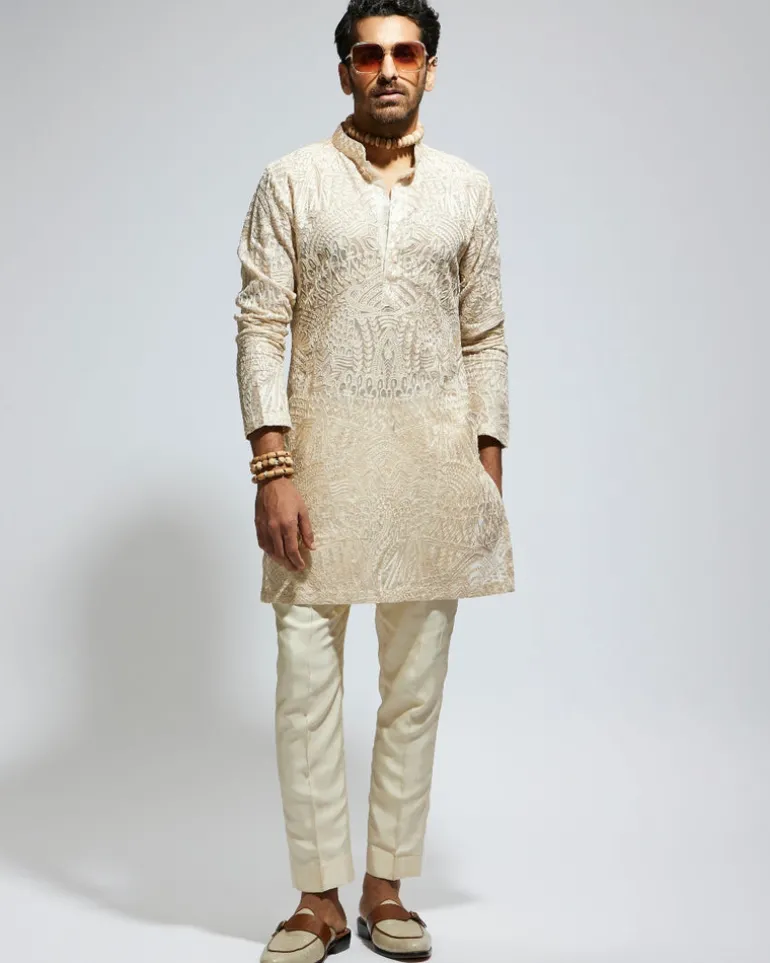 Beige Organza Embroidered Kurta Set