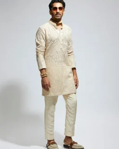 Beige Organza Embroidered Kurta Set