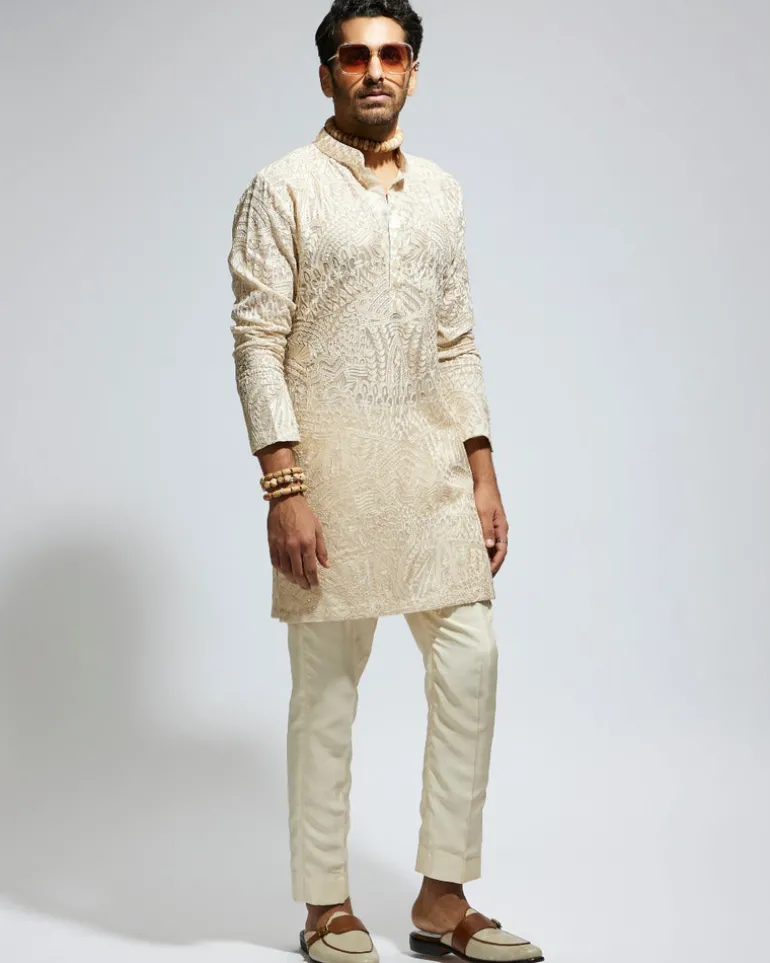 Beige Organza Embroidered Kurta Set