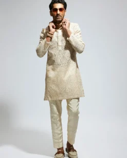 Beige Organza Embroidered Kurta Set