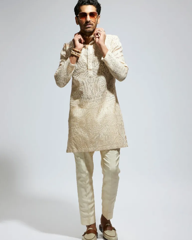 Beige Organza Embroidered Kurta Set
